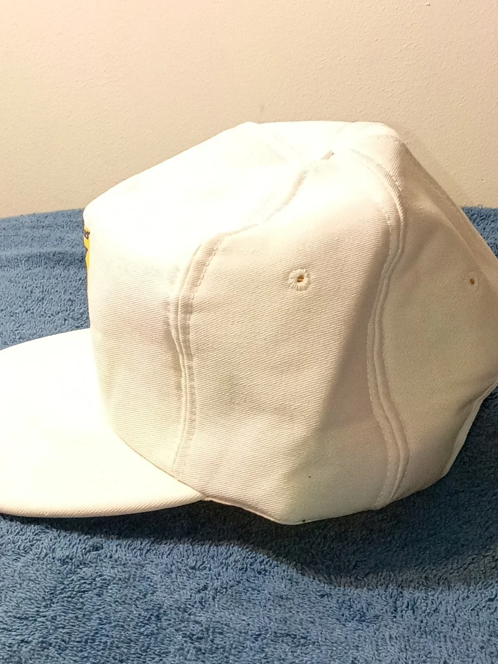 White '96 Political Team Cotton Cap